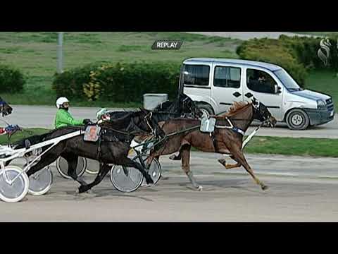 Aversa trotto 16 Dicembre 2020 - 5° Corsa