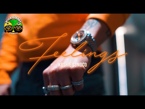 KUSHIE SUNOCO - FEELINGS (Official Video) | DIR. WILDMONEY VISUALS