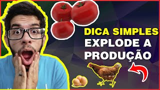 Adubo Para Bombar Seu P de TOMATE   Rpido e Prtico Orgnico