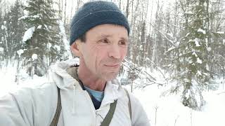 Пахучие приманки на рысь