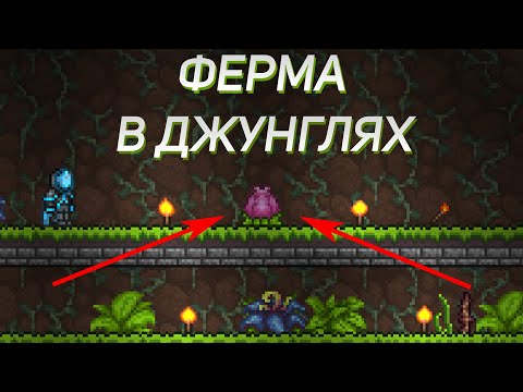 КАК ВЫРАСТИТЬ БУТОН ПЛАНТЕРЫ В TERRARIA???