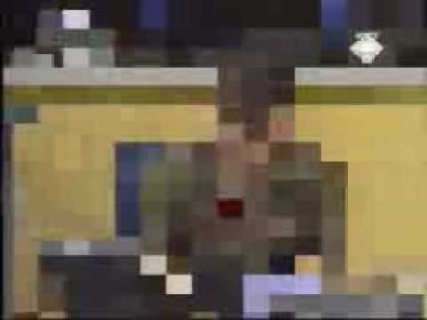 Šešelj - Falsifikat: otkud ovo?! (deo 1/2)