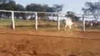 Download lagu Vaguim .V.s  Rordak (Cia.Labirinto) mp3