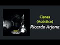 Ricardo Arjona - Cisnes (Acústico) | Letra