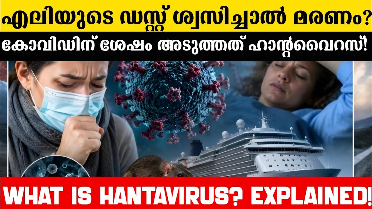 മരണം വിതയ്ക്കുന്ന എലി! | What is Hantavirus? Explained in Malayalam 