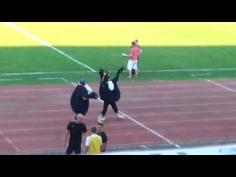 Gombóc Artúr a DVTK meccsen