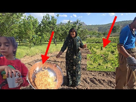 Work in the farm: Nowruz master trying to build a dream house