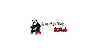 カニパンダの実況ch のライブ配信