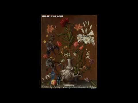 FLOWERS OF OUR WORLD - Schiffy