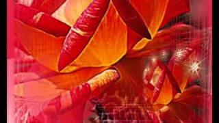 Ich lieb dich immer mehr - Brunner &amp; Brunner