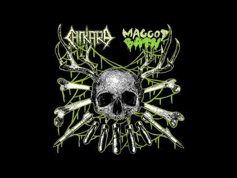 CHIKARA / Maggot Bath - SPLIT [2018 Noise / Crust / Sludgecore]