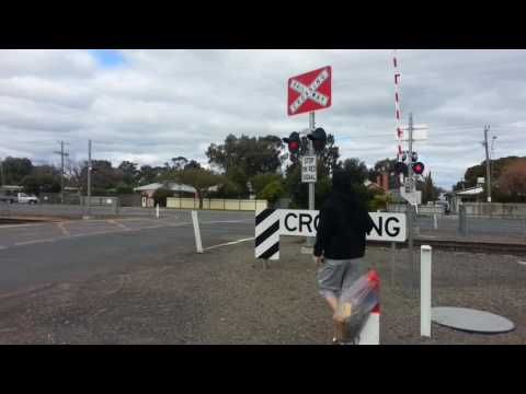 Watching the overland train with holdendrifter