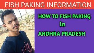 preview picture of video 'Fish paking and transport for all india'