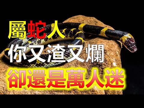蛇豬相沖化解