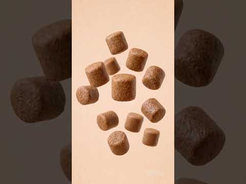 AI 숏폼