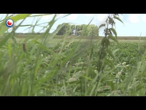 Een dag na de grote brand in Munnekezijl