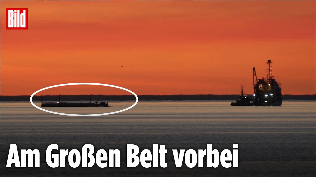 OSTEE-RETTUNG: Timmy passiert Dänemarks große Brücke