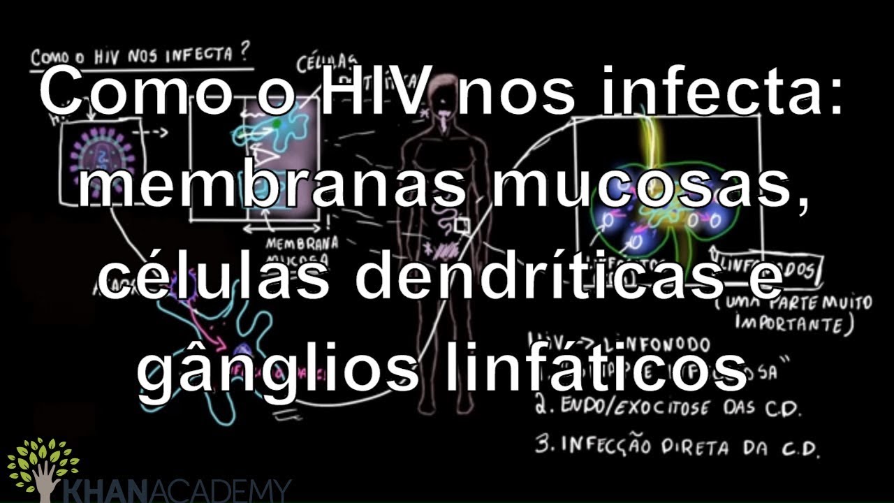 Como o HIV nos infecta: membranas mucosas, células dendríticas e gânglios linfáticos | Khan Academy