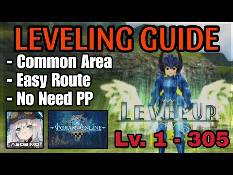 (Toram Online) - Leveling Guide Lv. 1 - 305 (2025)