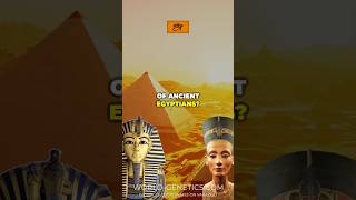 Ancient Egyptian genetics 🐪