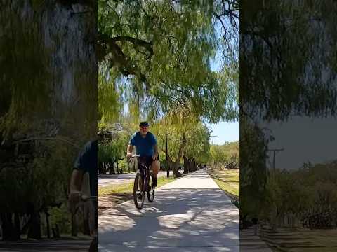 Av. Dr. Ruiz Leal (Parque General San Martín) #travel #argentina #mendoza #shorts