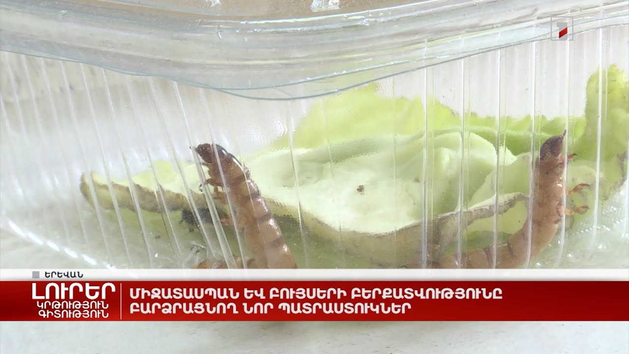 Միջատասպան և բույսերի բերքատվությունը բարձրացնող նոր պատրաստուկներ