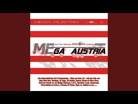 Springstil (Radio Mix)