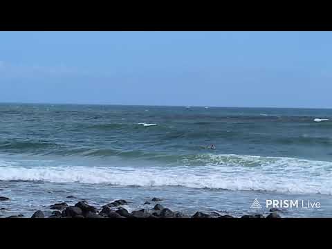 LIVE: 2026 Burleigh Single Fin Festival - Day 1