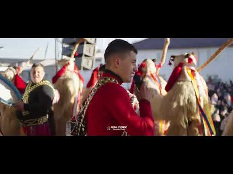 Ursii de la Roscani in orasul Liteni 2023