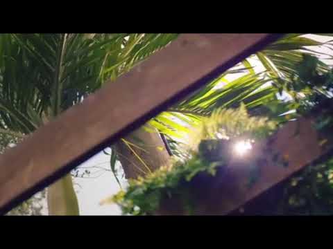 Lady Gaga x Cardi B - I Like It x Americano (Mash up)