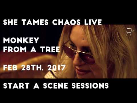 She Tames Chaos-Monkey from a Tree- Start A Scene Sessions