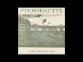 Pterodactyl - Friday, During the Day 7" (2004)