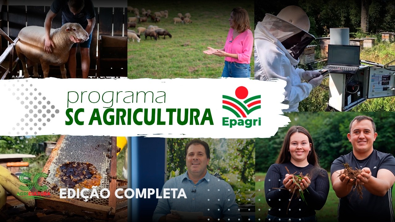 SC agricultura I Apicultura, ovinocultura e conservação do solo