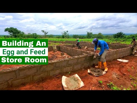 Setting Up Egg and Feed Store Room | 5,000 Capacity Poultry Farm in Ogun State