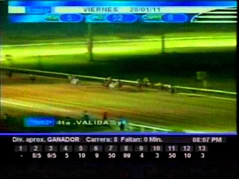 Viernes, 28 de Enero de 2011 - Valencia