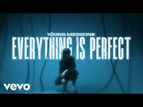 Young Medicine - Everything is Perfect (Official Music Video)