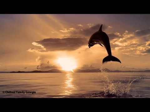 Soulfuel - Midnight Serenade