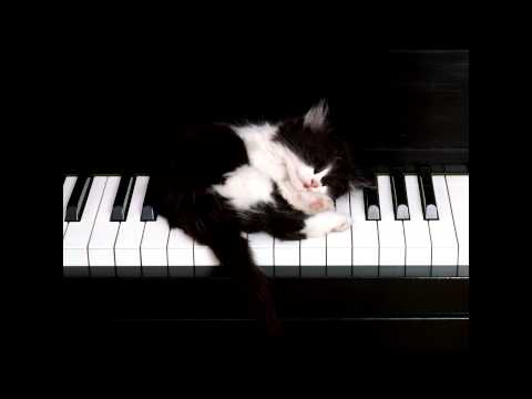 Stefano Carparelli - Lovemotion (Overture) - Vocal Stefano Carparelli