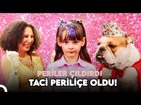 Periler Fani, Faniler Peri Olsaydı Ne Olurdu? - Sihir Okulu
