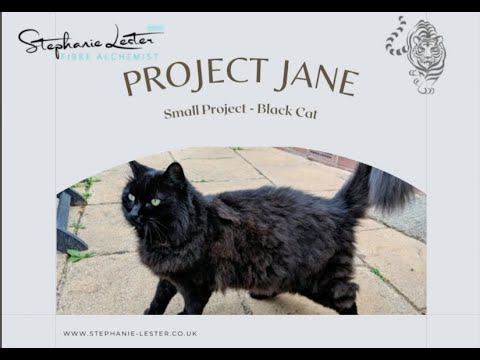 Cat Fibre Sculpture -    Needle felting a long haired black cat