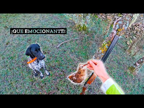 Becadas desde Cero 🔥¿𝗖𝘂𝗺𝗽𝗹𝗶𝗿𝗲𝗺𝗼𝘀 𝗹𝗮 𝗺𝗶𝘀𝗶ó𝗻?🔥