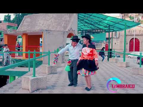 ⭐️ Tucucha - Huayno Huancavelicano #Yauli