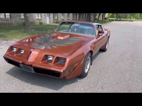 1980 Pontiac Firebird Trans Am (CC-1735989) for sale in AUBURN HILLS, Michigan
