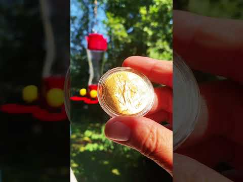 Mexican 50 pesos gold coin