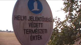 TERMÉSZETVÉDELMI KÖRKÉP