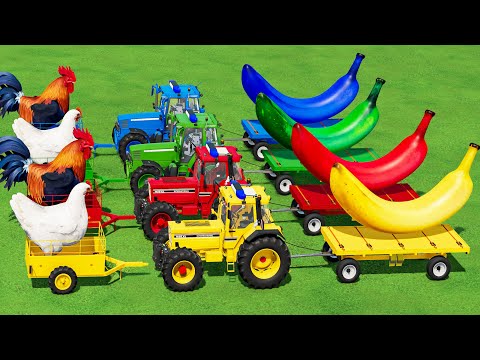 TRANSPORTING Small CASE, FENDT TRACTOR, BIG CHICKEN and BANANA TO SELL POINTS - Farming Simulator 22