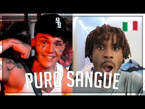 GALLAGHER TCARDI x 9SKI FLOCKA - PURO SANGUE REACTION !!! 🇮🇹