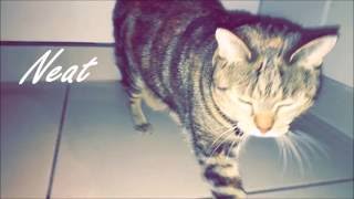 Cover art for Atlas isn't here