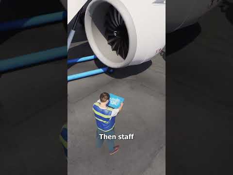 She Threw Coins Into A Plane Engine 😱