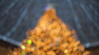 Tanti auguri da parte di tutti noi